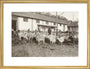 A Flock of Goats at Prince Alexander Oldenburgs Estate near Gagra. art print medium gold Art Print - Science Museum Shop