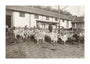 A Flock of Goats at Prince Alexander Oldenburgs Estate near Gagra. unstretched canvas extra large none Art Print - Science Museum Shop