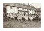 A Flock of Goats at Prince Alexander Oldenburgs Estate near Gagra. unstretched canvas large none Art Print - Science Museum Shop