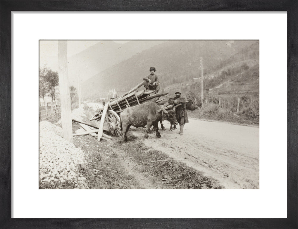 The Result of Meeting a Motor. art print small black Art Print - Science Museum Shop