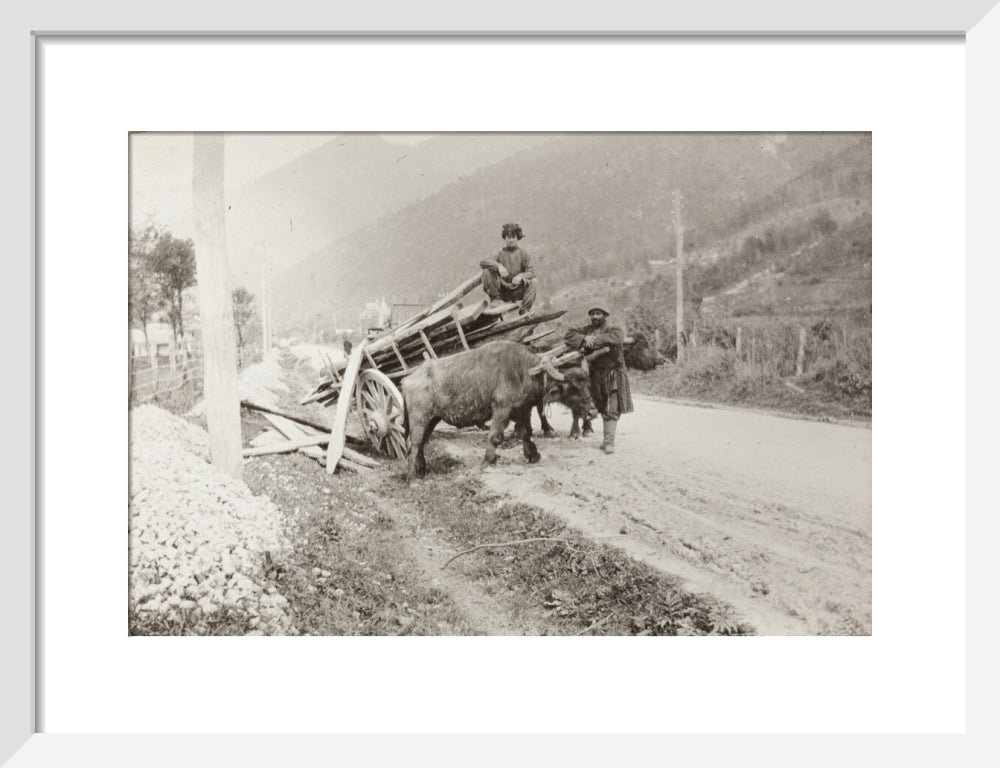 The Result of Meeting a Motor. art print small white Art Print - Science Museum Shop