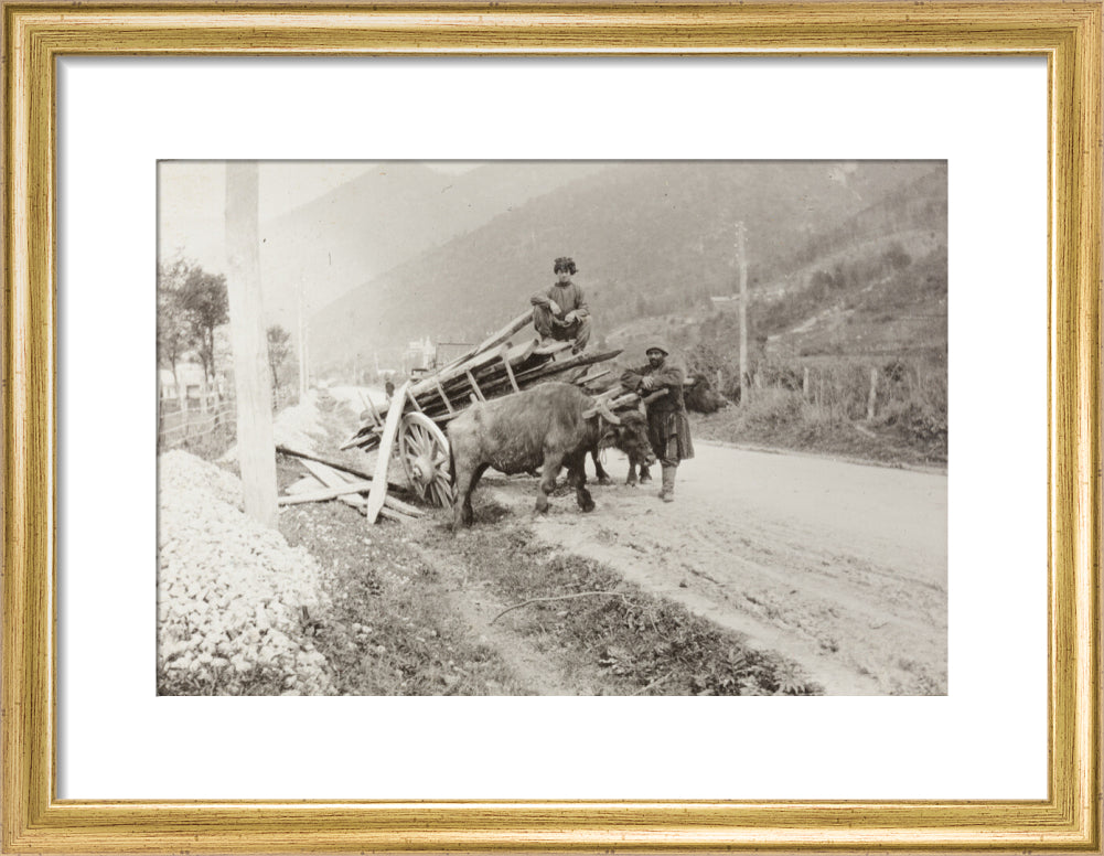 The Result of Meeting a Motor. art print small gold Art Print - Science Museum Shop