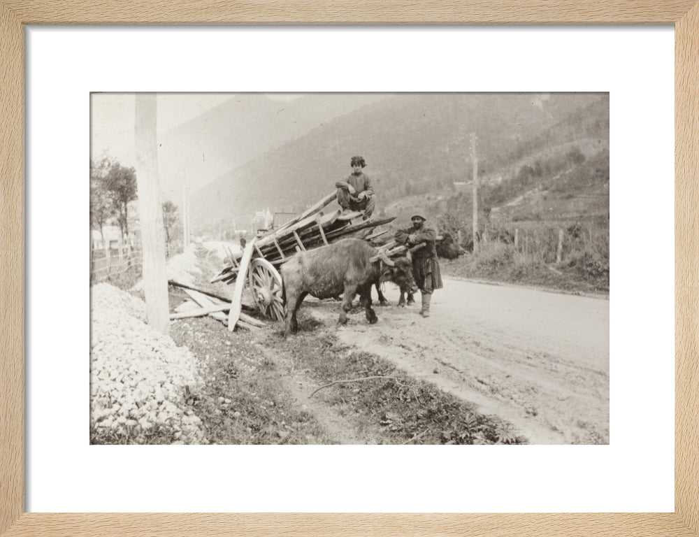 The Result of Meeting a Motor. art print small natural Art Print - Science Museum Shop