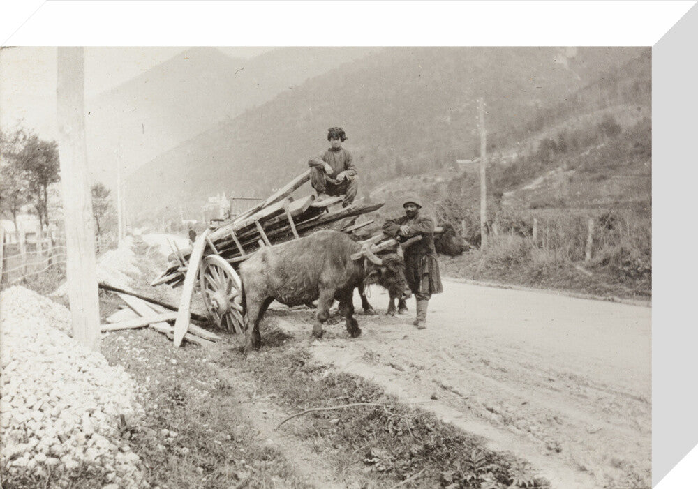 The Result of Meeting a Motor. stretched canvas small none Art Print - Science Museum Shop