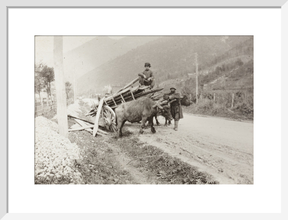 The Result of Meeting a Motor. art print medium white Art Print - Science Museum Shop