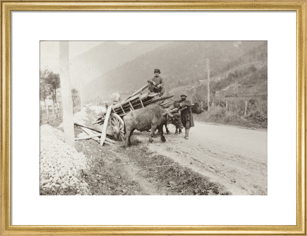 The Result of Meeting a Motor. art print medium gold Art Print - Science Museum Shop