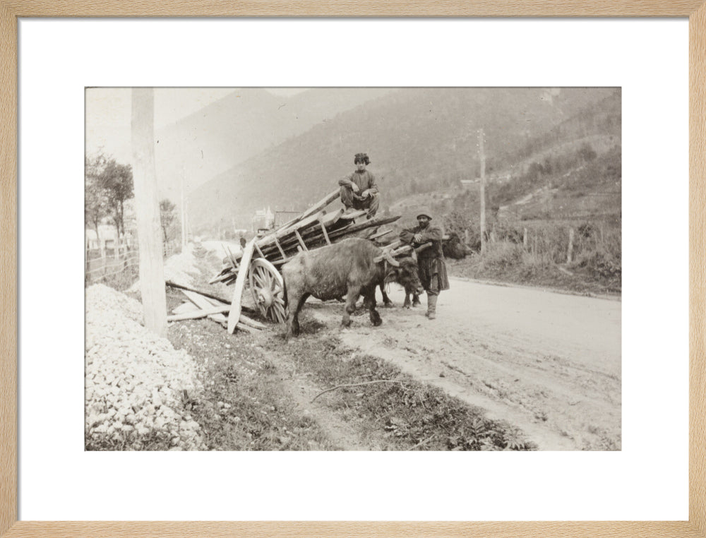 The Result of Meeting a Motor. art print medium natural Art Print - Science Museum Shop