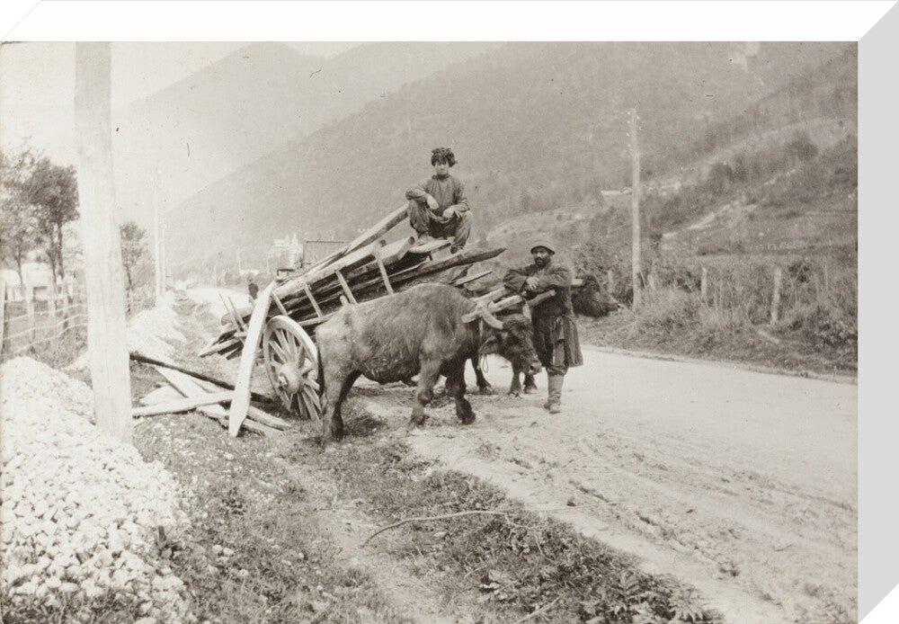 The Result of Meeting a Motor. stretched canvas medium none Art Print - Science Museum Shop