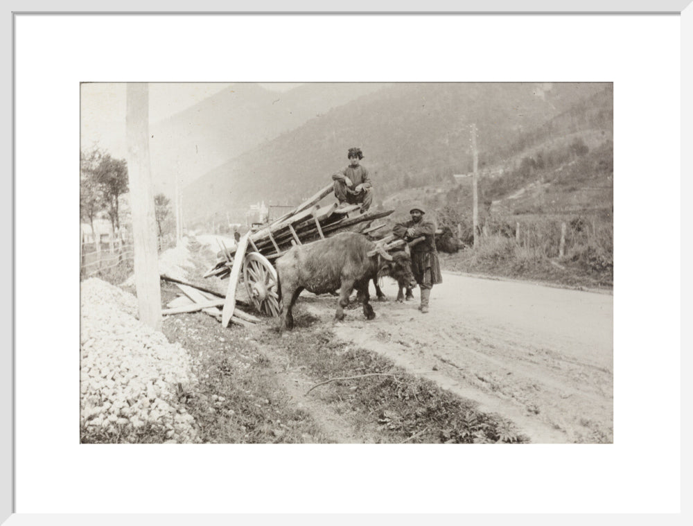 The Result of Meeting a Motor. art print large white Art Print - Science Museum Shop