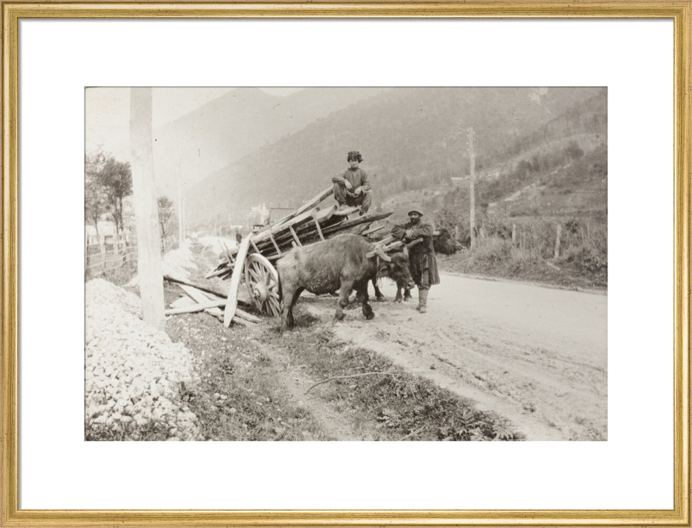 The Result of Meeting a Motor. art print large gold Art Print - Science Museum Shop