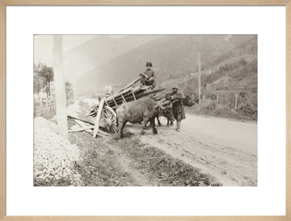 The Result of Meeting a Motor. art print large natural Art Print - Science Museum Shop