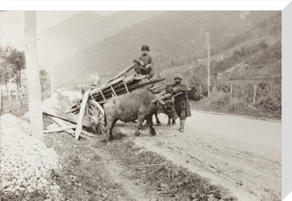 The Result of Meeting a Motor. stretched canvas large none Art Print - Science Museum Shop