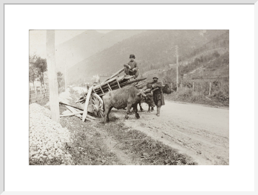 The Result of Meeting a Motor. art print extra large white Art Print - Science Museum Shop