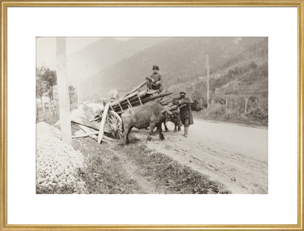 The Result of Meeting a Motor. art print extra large gold Art Print - Science Museum Shop