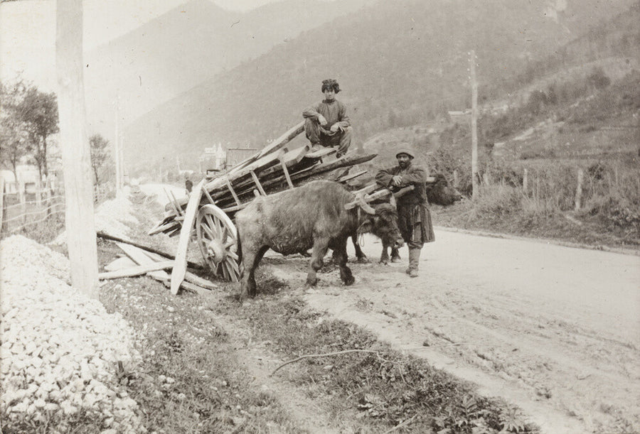 The Result of Meeting a Motor. Art Print - Science Museum Shop