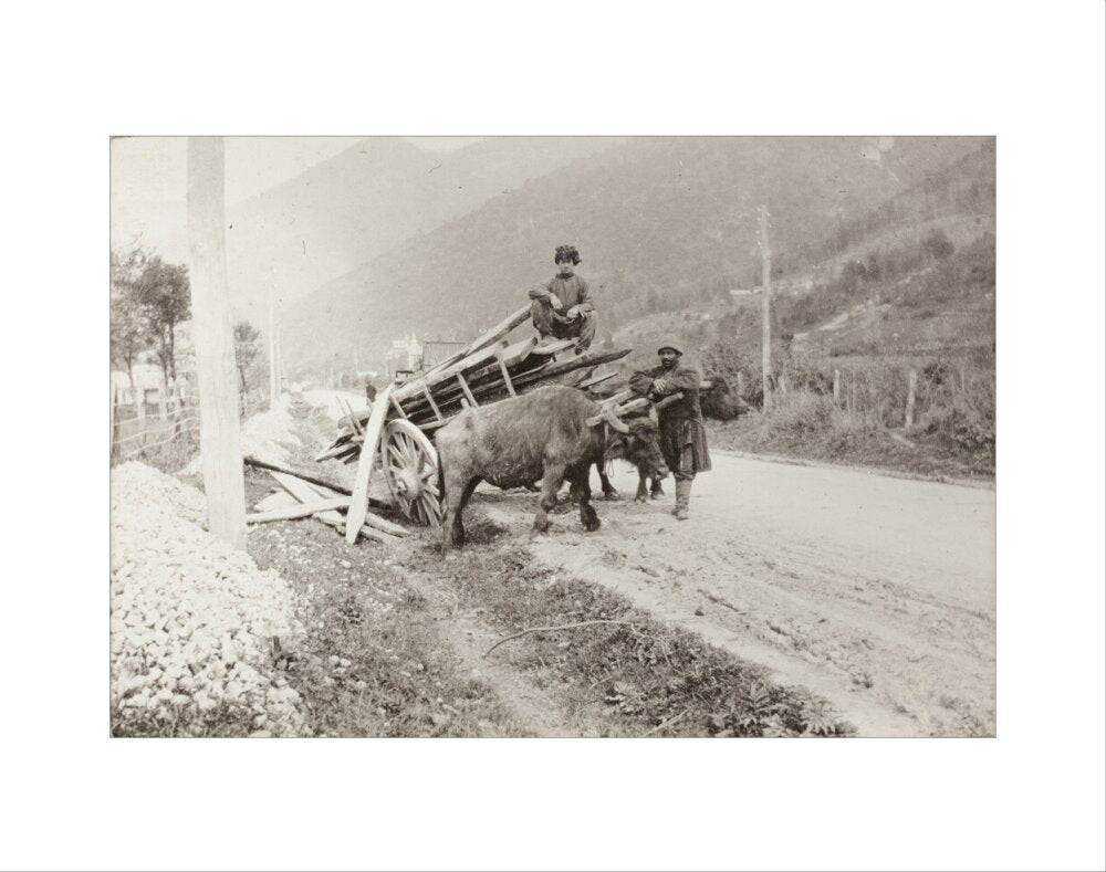 The Result of Meeting a Motor. art print extra small none Art Print - Science Museum Shop