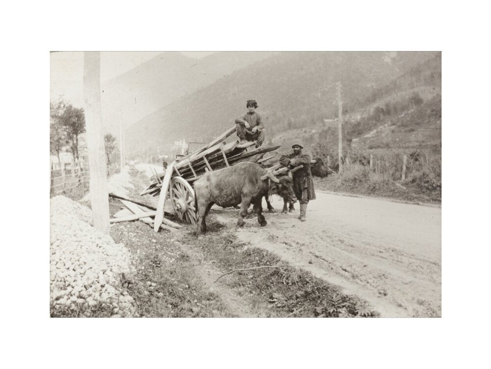 The Result of Meeting a Motor. art print medium none Art Print - Science Museum Shop