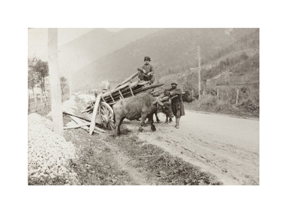 The Result of Meeting a Motor. unstretched canvas medium none Art Print - Science Museum Shop