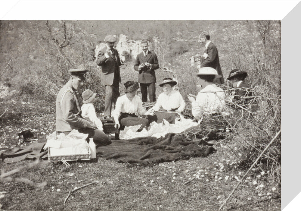 A picnic at the river Bzib about 40 versts from Gagra stretched canvas small none Art Print - Science Museum Shop