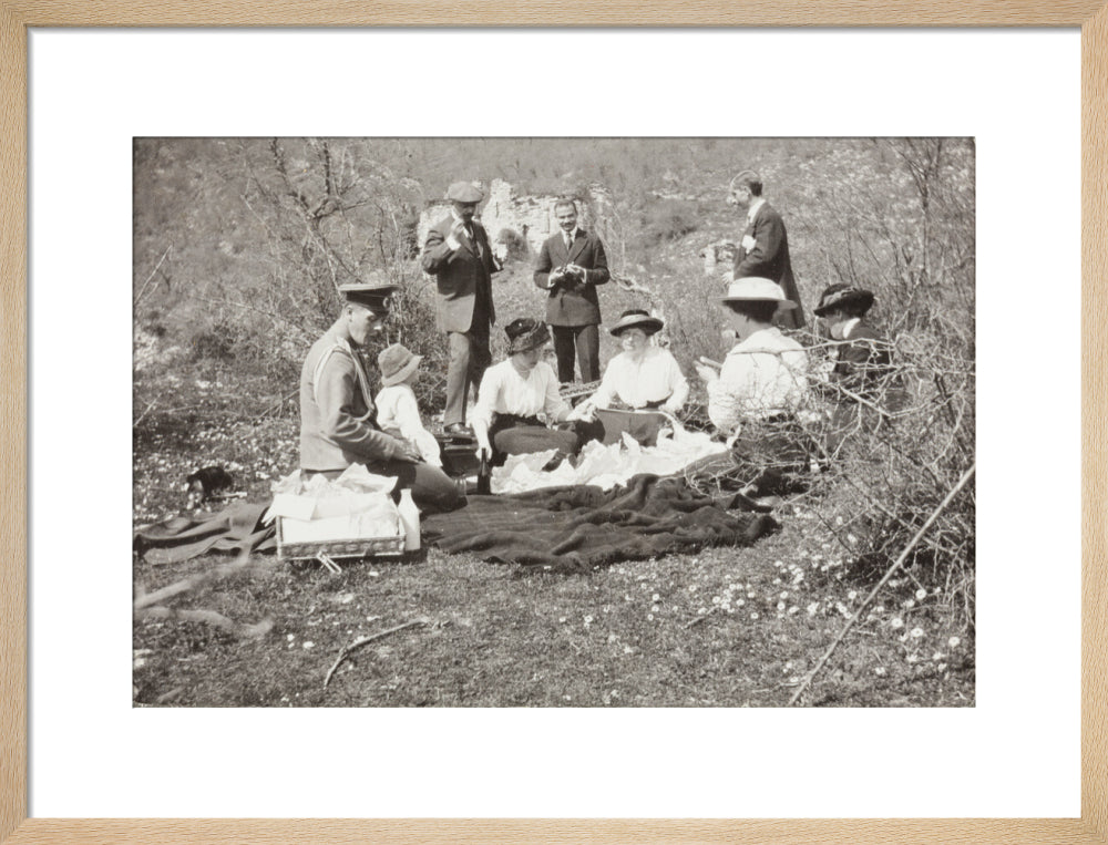 A picnic at the river Bzib about 40 versts from Gagra art print medium natural Art Print - Science Museum Shop