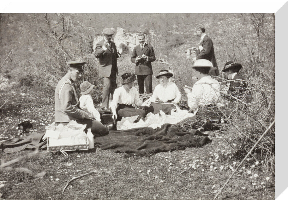 A picnic at the river Bzib about 40 versts from Gagra stretched canvas medium none Art Print - Science Museum Shop