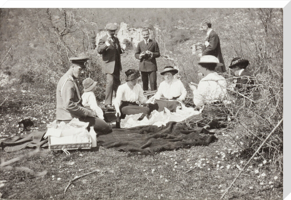 A picnic at the river Bzib about 40 versts from Gagra stretched canvas extra large none Art Print - Science Museum Shop