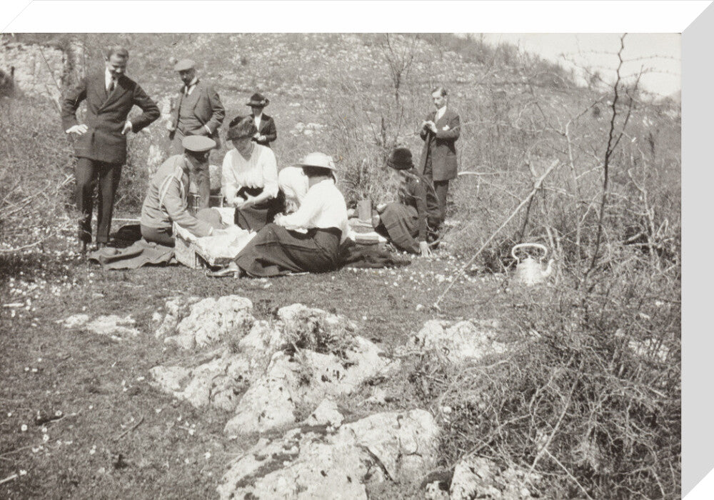 A picnic at the river Bzib about 40 versts from Gagra stretched canvas medium none Art Print - Science Museum Shop