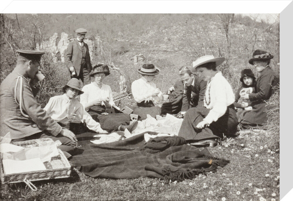 A Picnic at the River Bzib about 40 versts from Gagra stretched canvas medium none Art Print - Science Museum Shop