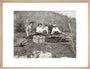 A picnic at the river Bzib about 40 versts from Gagra. art print medium natural Art Print - Science Museum Shop