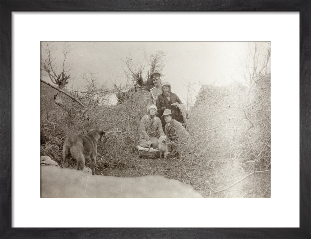 A Picnic at the River Bzib. art print small black Art Print - Science Museum Shop