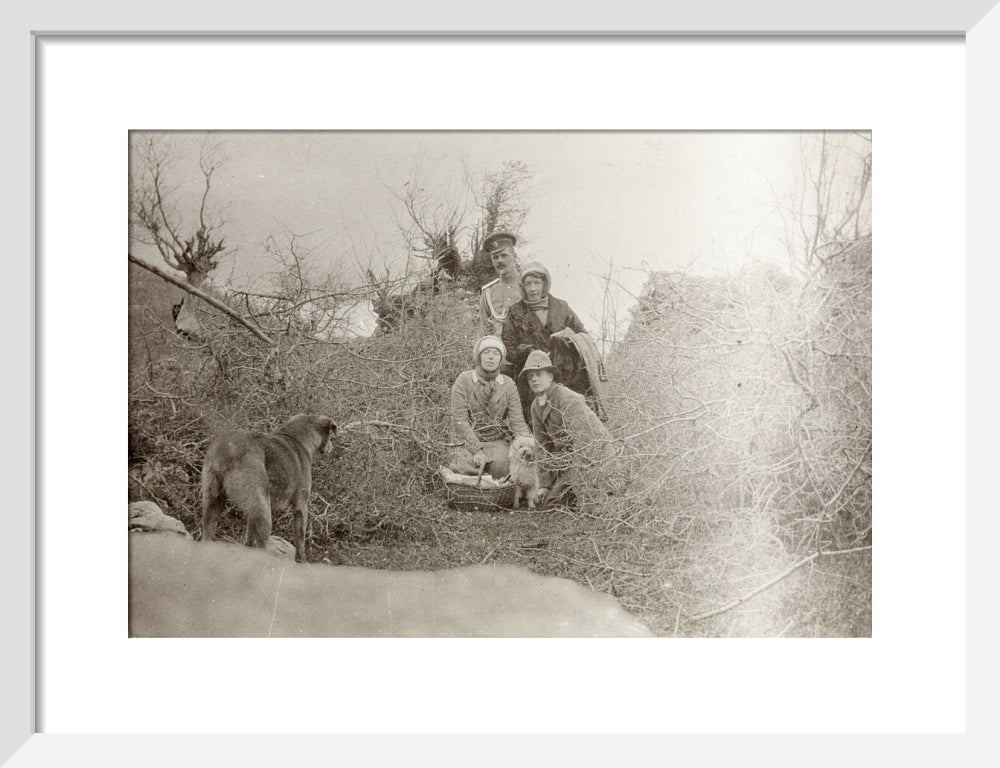 A Picnic at the River Bzib. art print small white Art Print - Science Museum Shop