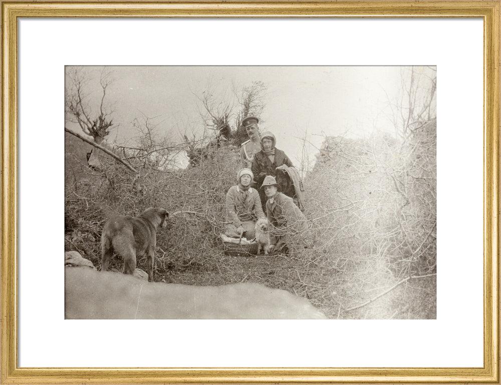 A Picnic at the River Bzib. art print medium gold Art Print - Science Museum Shop