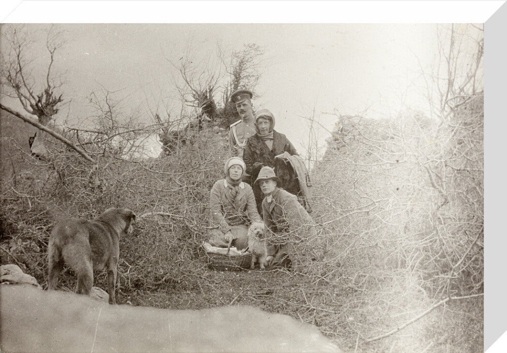 A Picnic at the River Bzib. stretched canvas medium none Art Print - Science Museum Shop