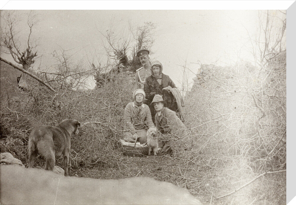 A Picnic at the River Bzib. stretched canvas large none Art Print - Science Museum Shop
