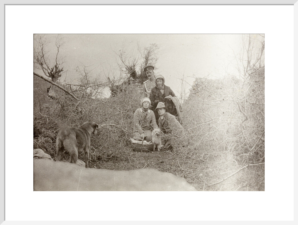 A Picnic at the River Bzib. art print extra large white Art Print - Science Museum Shop