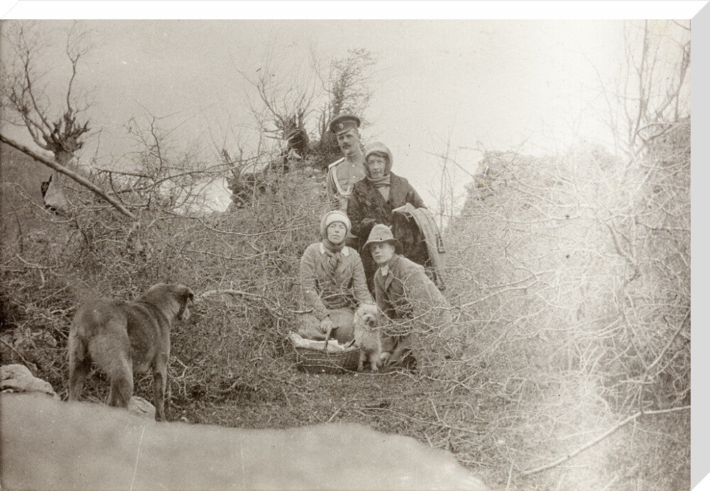 A Picnic at the River Bzib. stretched canvas extra large none Art Print - Science Museum Shop