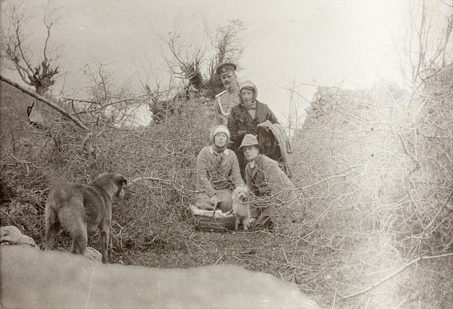 A Picnic at the River Bzib. Art Print - Science Museum Shop