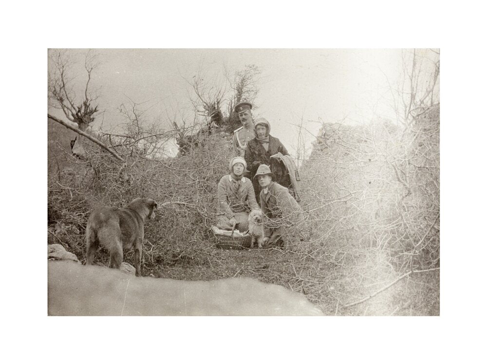 A Picnic at the River Bzib. art print extra large none Art Print - Science Museum Shop