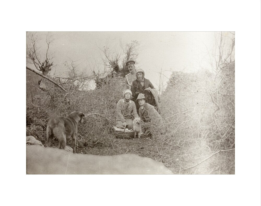 A Picnic at the River Bzib. art print extra small none Art Print - Science Museum Shop