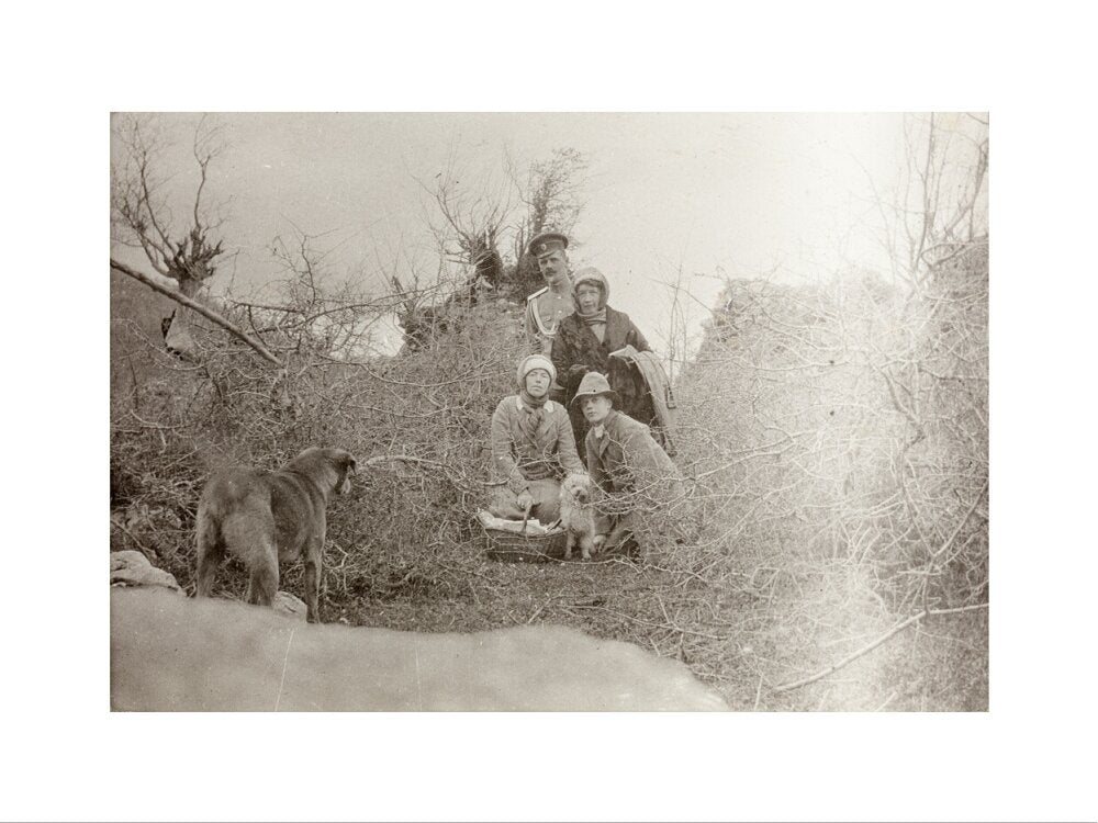 A Picnic at the River Bzib. art print small none Art Print - Science Museum Shop