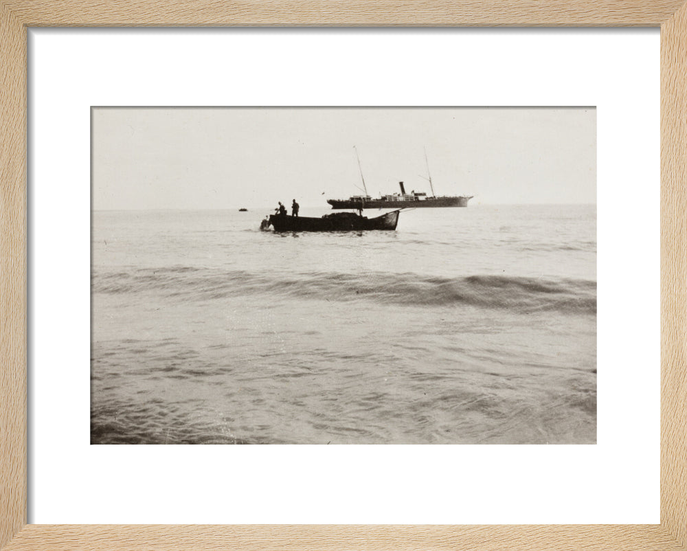 The Method of Landing Bullocks which are taken from the ship in a boat and pushed overboard. When some way from the shore, they usually swim to the land, but not always. art print extra small natural Art Print - Science Museum Shop