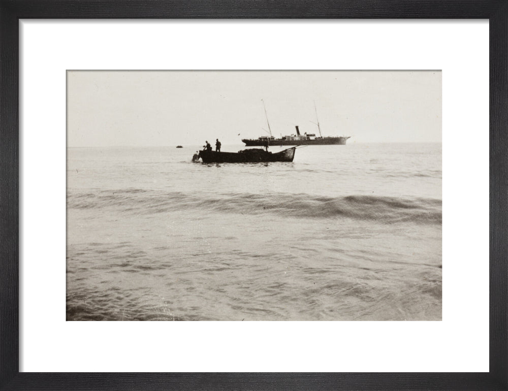 The Method of Landing Bullocks which are taken from the ship in a boat and pushed overboard. When some way from the shore, they usually swim to the land, but not always. art print small black Art Print - Science Museum Shop