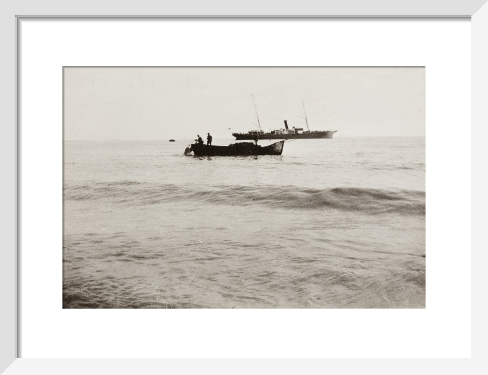 The Method of Landing Bullocks which are taken from the ship in a boat and pushed overboard. When some way from the shore, they usually swim to the land, but not always. art print small white Art Print - Science Museum Shop