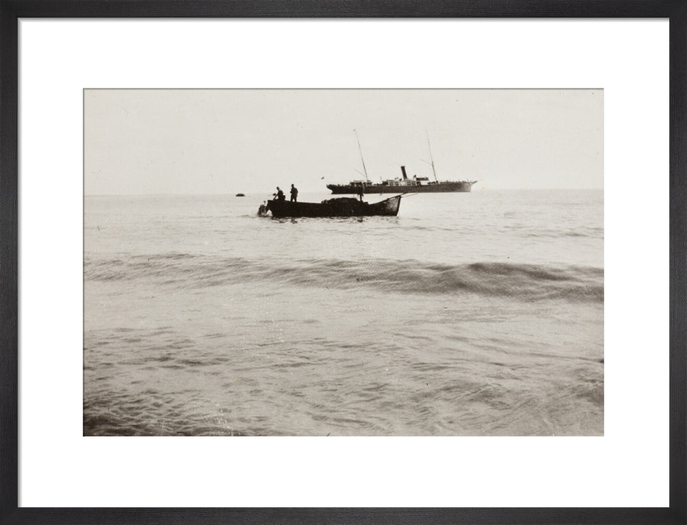 The Method of Landing Bullocks which are taken from the ship in a boat and pushed overboard. When some way from the shore, they usually swim to the land, but not always. art print medium black Art Print - Science Museum Shop