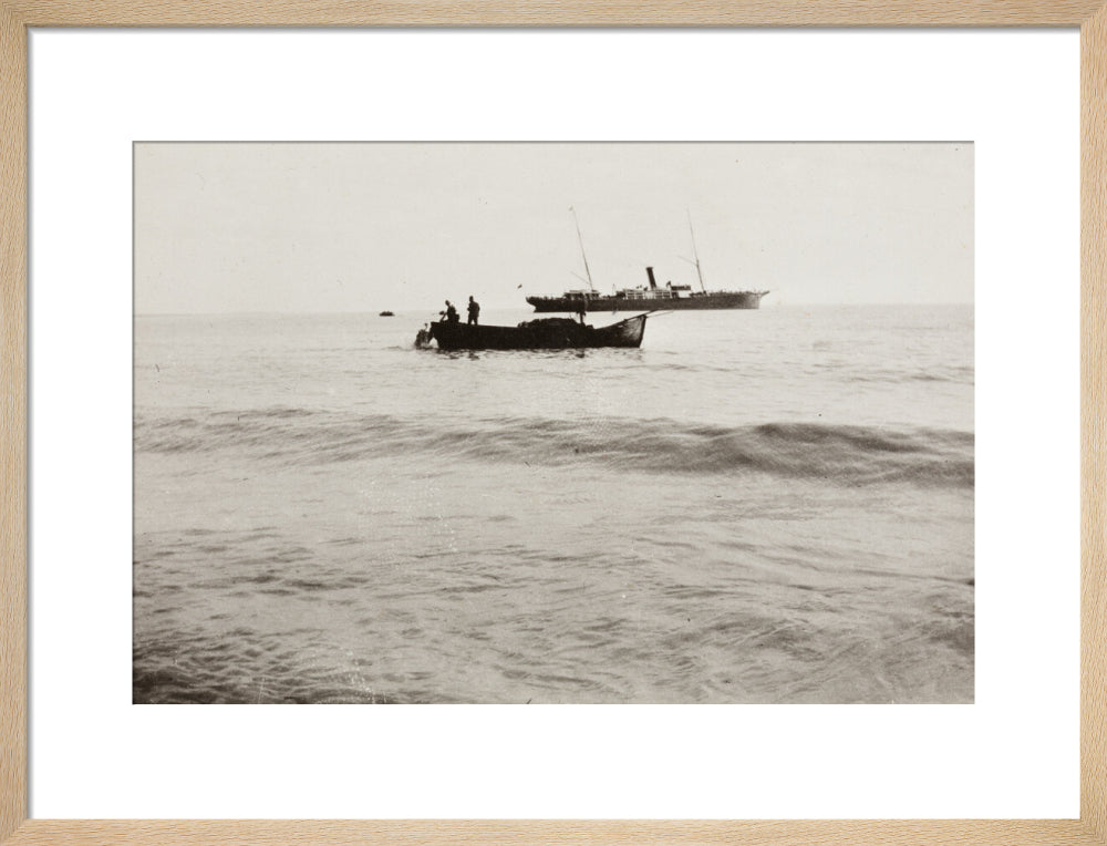 The Method of Landing Bullocks which are taken from the ship in a boat and pushed overboard. When some way from the shore, they usually swim to the land, but not always. art print medium natural Art Print - Science Museum Shop