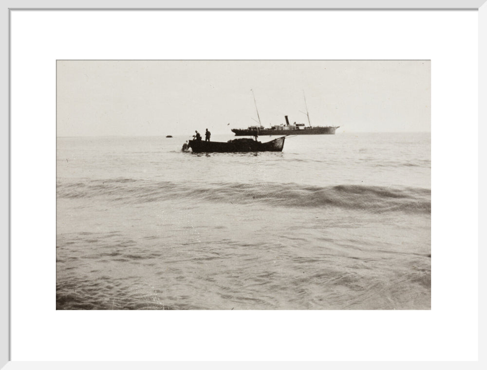 The Method of Landing Bullocks which are taken from the ship in a boat and pushed overboard. When some way from the shore, they usually swim to the land, but not always. art print large white Art Print - Science Museum Shop