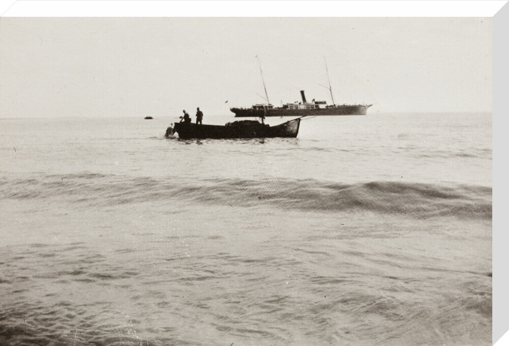 The Method of Landing Bullocks which are taken from the ship in a boat and pushed overboard. When some way from the shore, they usually swim to the land, but not always. stretched canvas large none Art Print - Science Museum Shop