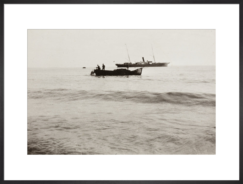 The Method of Landing Bullocks which are taken from the ship in a boat and pushed overboard. When some way from the shore, they usually swim to the land, but not always. art print extra large black Art Print - Science Museum Shop