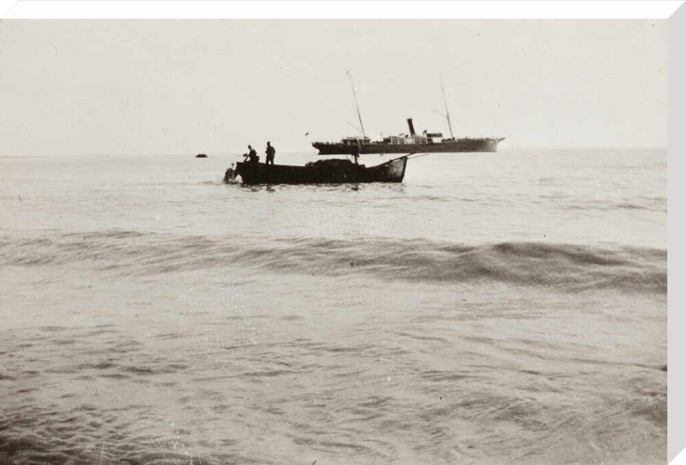 The Method of Landing Bullocks which are taken from the ship in a boat and pushed overboard. When some way from the shore, they usually swim to the land, but not always. stretched canvas extra large none Art Print - Science Museum Shop