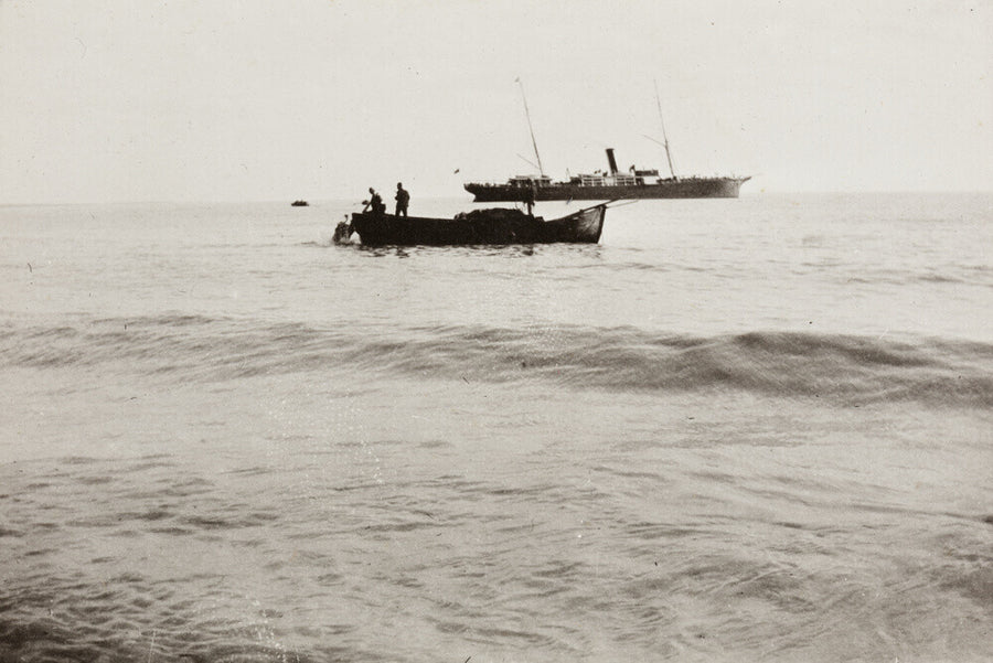 The Method of Landing Bullocks which are taken from the ship in a boat and pushed overboard. When some way from the shore, they usually swim to the land, but not always. Art Print - Science Museum Shop